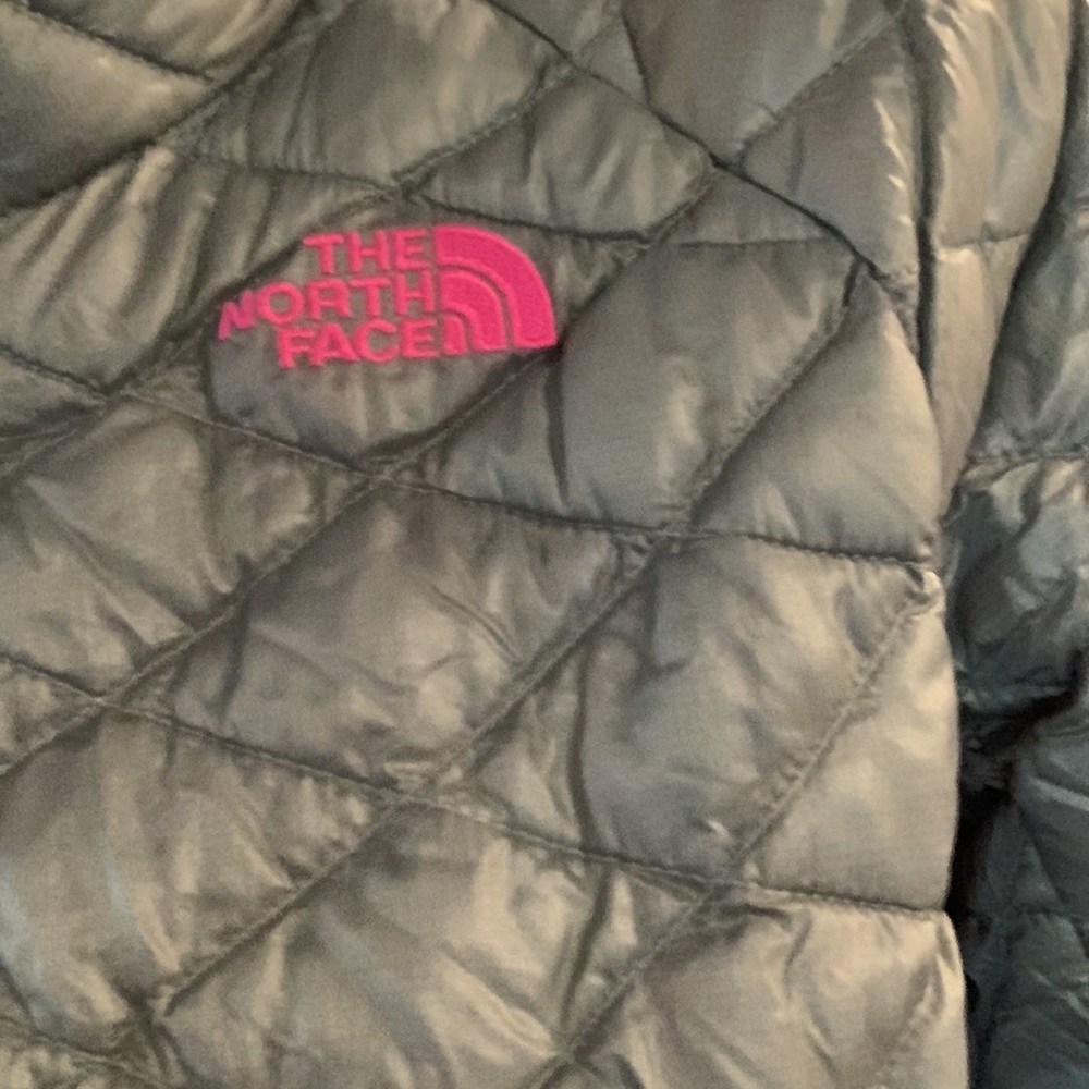 Northface Winter Jacket - image 2